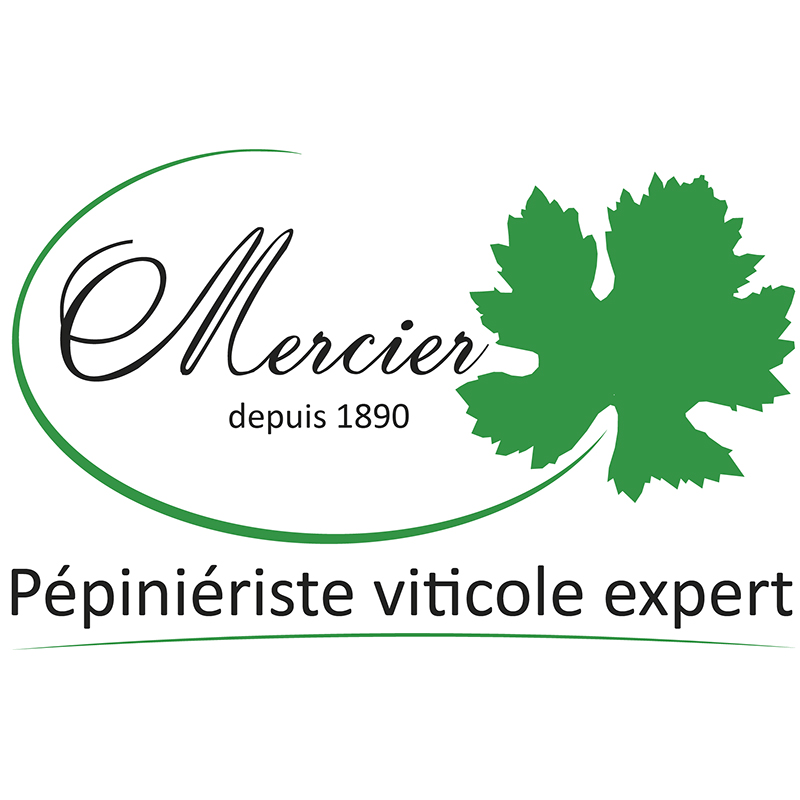 MERCIER FRÈRES